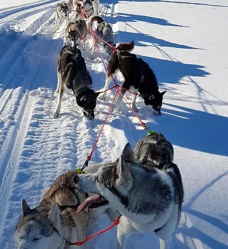 Vent_du_nord Lejlighed